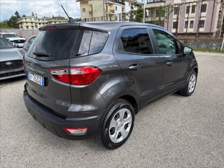 FORD EcoSport 1.5 tdci Plus s&s 100cv