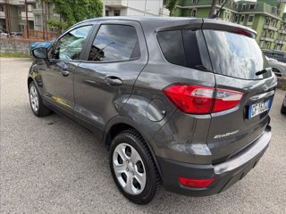 FORD EcoSport 1.5 tdci Plus s&s 100cv